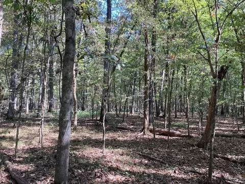 Boswell Road, Okolona, AR 71962