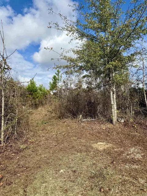 2470 Highway 84, Amity, AR 71921 photo 4
