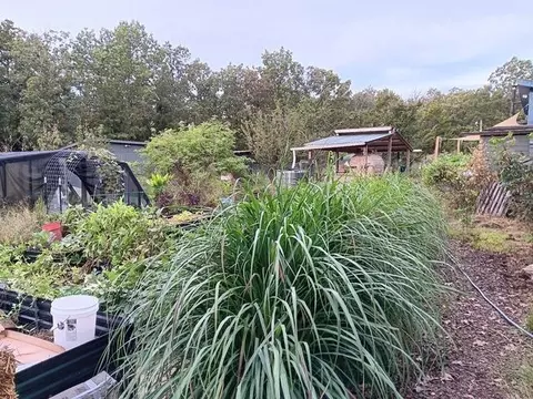 Exterior - Nn Marquette, Ash Flat, AR 72513 photo 11 of 19