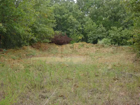 Other - Nn Marquette, Ash Flat, AR 72513 photo 19 of 24