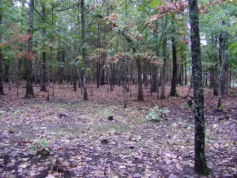 Exterior - Nn Marquette, Ash Flat, AR 72513 photo 18 of 19