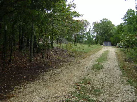 Exterior - Nn Marquette, Ash Flat, AR 72513 photo 16 of 19