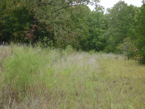 Other - Nn Marquette, Ash Flat, AR 72513 photo 20 of 24