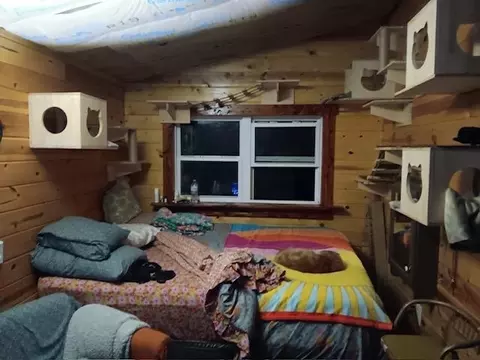 Bedroom - Nn Marquette, Ash Flat, AR 72513 photo 1 of 1