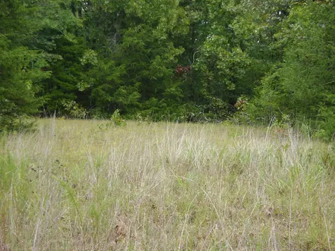 Other - Nn Marquette, Ash Flat, AR 72513 photo 21 of 24