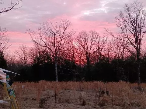 Other - Nn Marquette, Ash Flat, AR 72513 photo 3 of 24