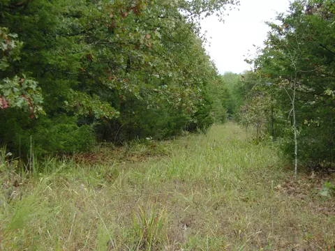 Other - Nn Marquette, Ash Flat, AR 72513 photo 22 of 24