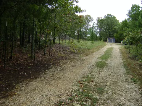 Exterior - Nn Marquette, Ash Flat, AR 72513 photo 15 of 19