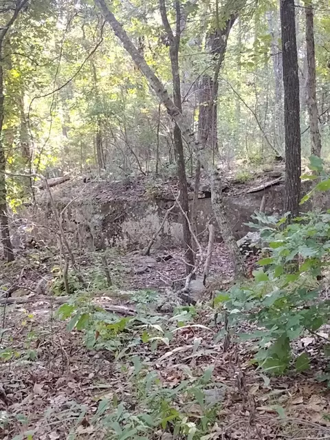 150 Sandstone Road Jcts, Clinton, AR 72031 photo 8