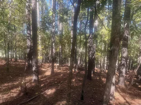 10 Ruedo, Hot Springs Village, AR 71909