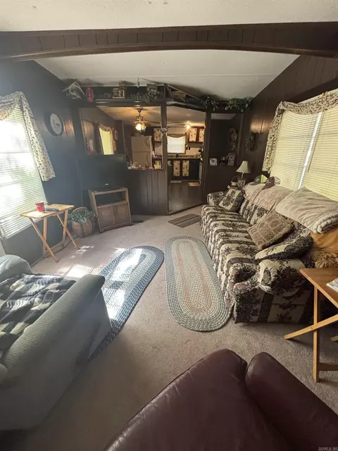 175 Doris Ln, Higden, AR 72067 photo 11