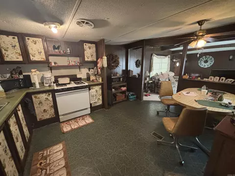 175 Doris Ln, Higden, AR 72067 photo 9