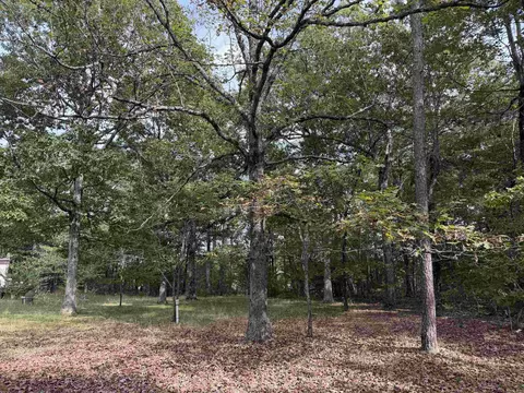 8393 Hwy 254 E, Dennard, AR 72629 photo 16
