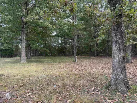8393 Hwy 254 E, Dennard, AR 72629 photo 18