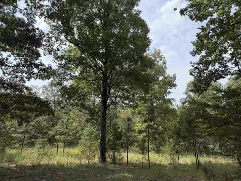 8393 Hwy 254 E, Dennard, AR 72629 photo 8