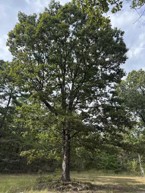 8393 Hwy 254 E, Dennard, AR 72629 photo 17