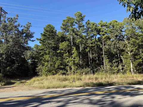 8393 Hwy 254 E, Dennard, AR 72629 photo 2