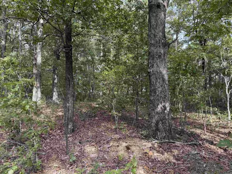 8393 Hwy 254 E, Dennard, AR 72629 photo 19