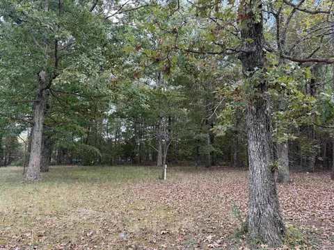 8393 Hwy 254 E, Dennard, AR 72629 photo 7