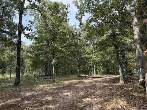 8393 Hwy 254 E, Dennard, AR 72629 photo 9