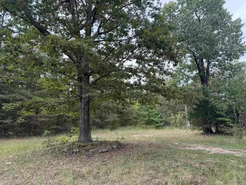 8393 Hwy 254 E, Dennard, AR 72629 photo 5
