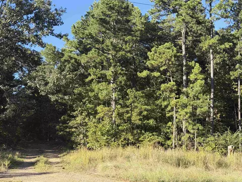 8393 Hwy 254 E, Dennard, AR 72629 photo 4