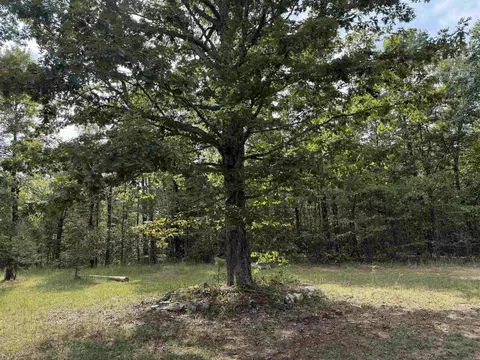 8393 Hwy 254 E, Dennard, AR 72629 photo 12