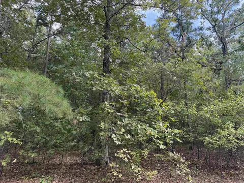 8393 Hwy 254 E, Dennard, AR 72629 photo 15