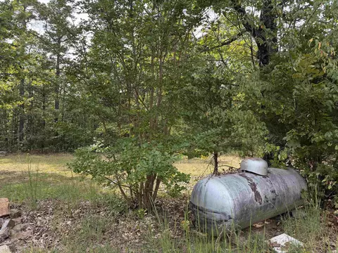 8393 Hwy 254 E, Dennard, AR 72629 photo 10