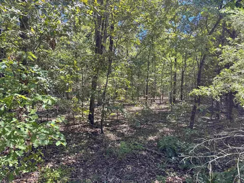 80 Landrum Rd, Quitman, AR 72131 photo 29