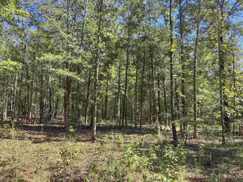 80 Landrum Rd, Quitman, AR 72131 photo 25