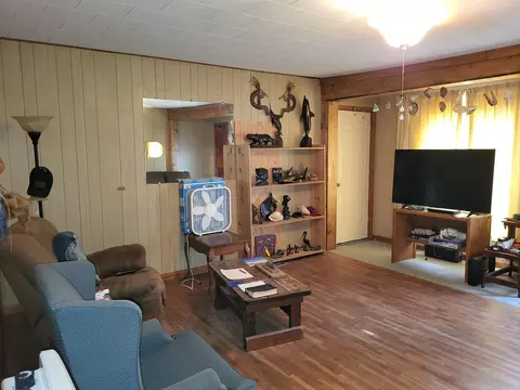 Living - 225 S Cagle St, Rector, AR 72461 photo 3 of 3
