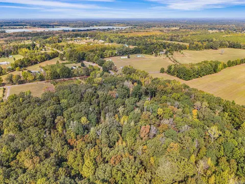 0 Butlerville Rd, Ward, AR 72176 photo 7