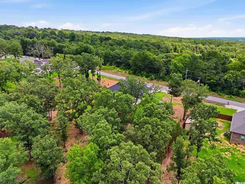 View/Area - 208 Blackjack, Greenbrier, AR 72058 photo 5 of 5