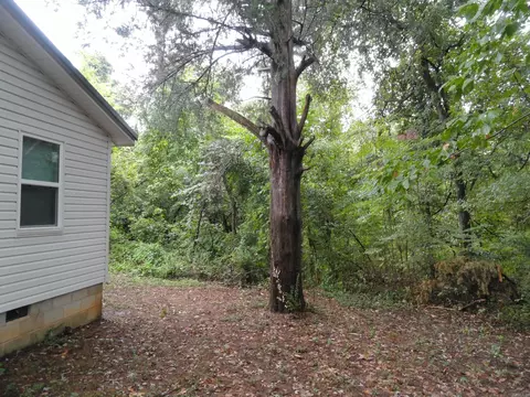 Exterior - 104 Boyd Cir, Marshall, AR 72650 photo 16 of 18