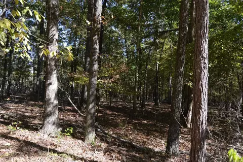 00 Kelley, Alexander, AR 72002 photo 3