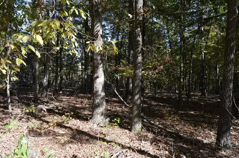 00 Kelley, Alexander, AR 72002 photo 4