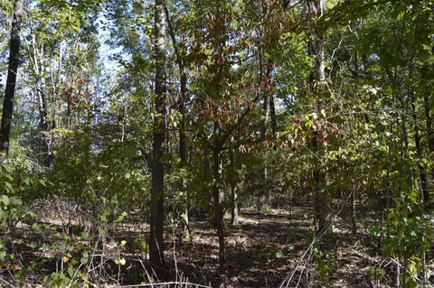 00 Kelley, Alexander, AR 72002 photo 6