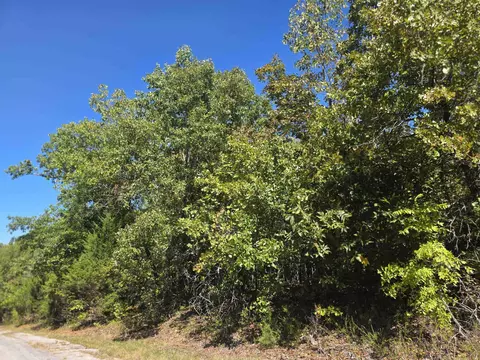 1106 S Michigan Ave, Horseshoe Bend, AR 72512