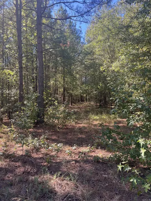 Nn Tract 11 Castle, Glenwood, AR 71943