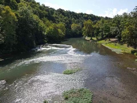 000 Shadow Oak Ln, Mammoth Spring, AR 72554 photo 37