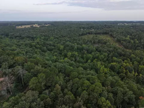 32 Arrow Ridge Dr, Damascus, AR 72039 photo 12