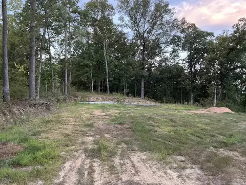 32 Arrow Ridge Dr, Damascus, AR 72039 photo 4