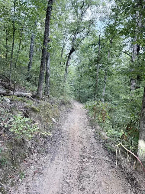 32 Arrow Ridge Dr, Damascus, AR 72039 photo 8