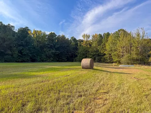 000 Cash Rd, Rison, AR 71665 photo 17
