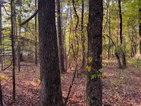000 Cash Rd, Rison, AR 71665 photo 41