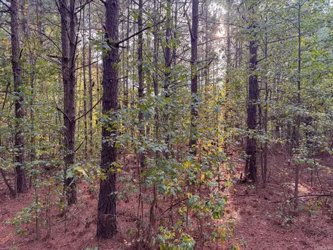 000 Cash Rd, Rison, AR 71665 photo 37