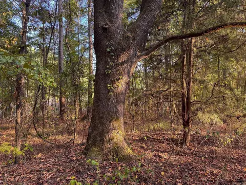 000 Cash Rd, Rison, AR 71665 photo 40