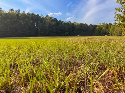 000 Cash Rd, Rison, AR 71665 photo 16