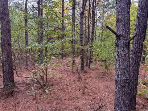 000 Cash Rd, Rison, AR 71665 photo 31